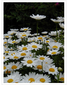 test9