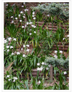 test7