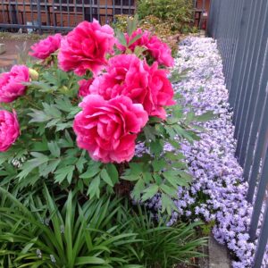 test10